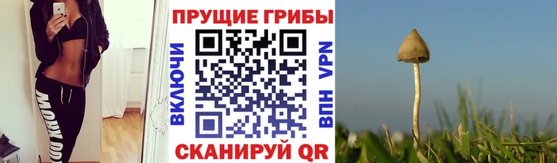 Галлюциногенные грибы мухоморы  MEGA маркетплейс  Таруса 